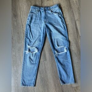 AE Mom Jeans